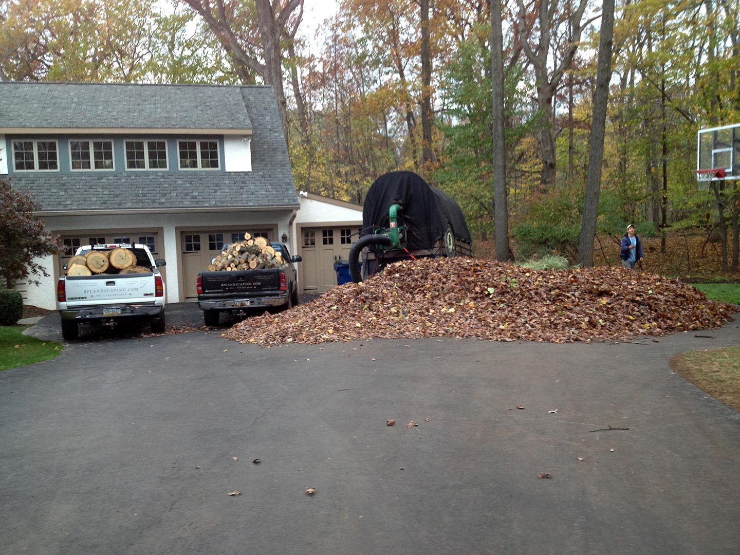 fall cleanup near me